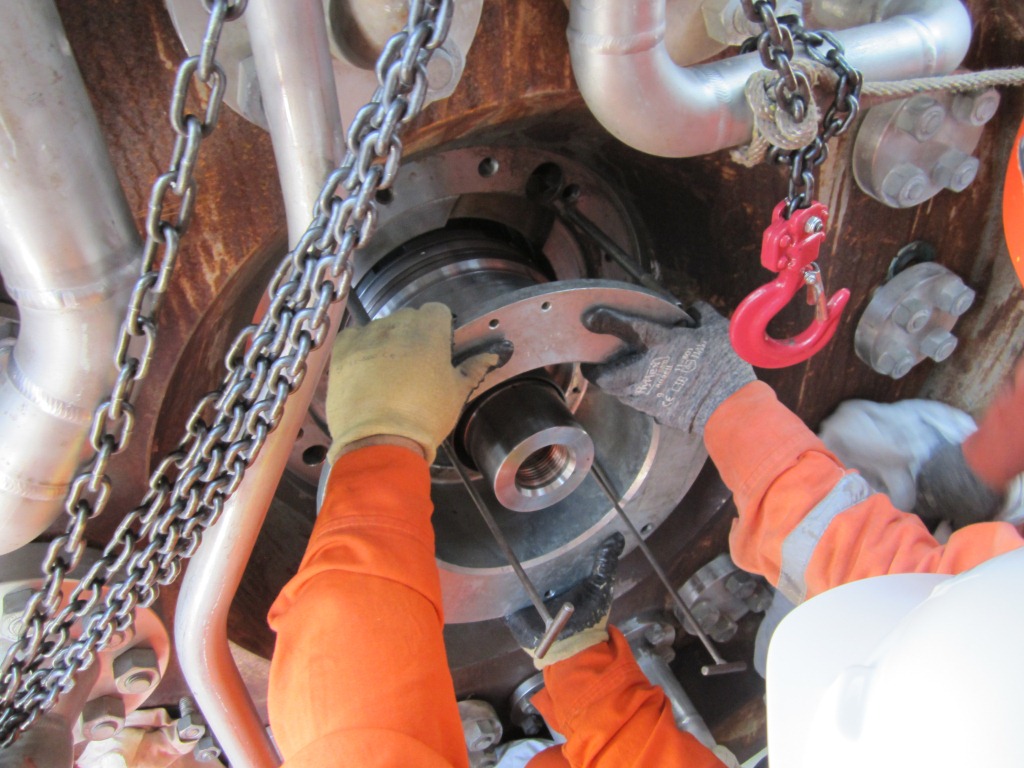 Dry gas seal components during assembly